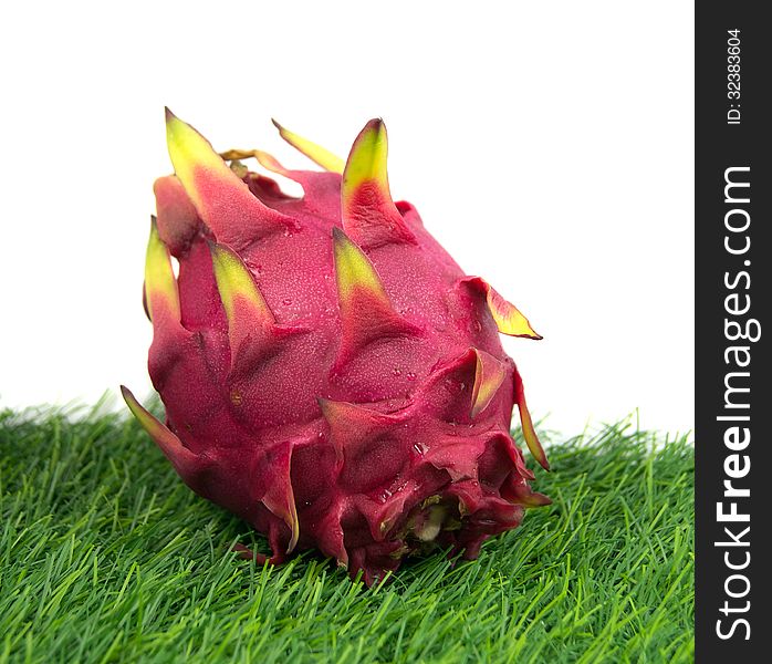 Vivid Dragon fruit isolated on a green grass