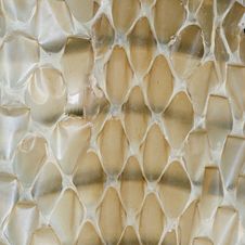 Snake Skin Background Stock Image Snake Skin Background Stock Image