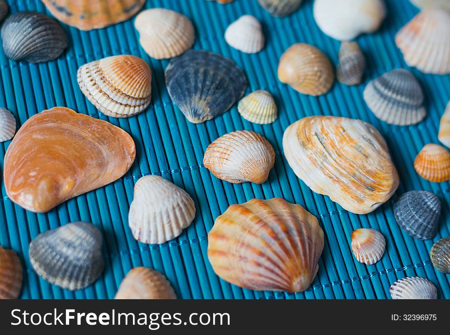 A variety of sea shells on a blue bamboo mat. A variety of sea shells on a blue bamboo mat