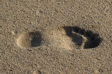 An Isolated Footprint In The S Stock Images