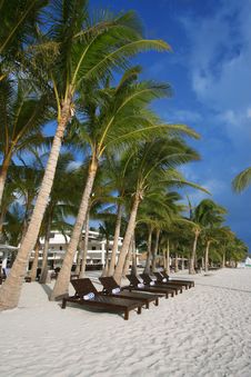 Wooden Beach Chairs Royalty Free Stock Photography Wooden Beach Chairs Royalty Free Stock Photography