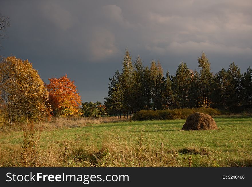 The autumn colors in the russian countryside. Yellow trees, green and yellow grass, sky with clouds. The autumn colors in the russian countryside. Yellow trees, green and yellow grass, sky with clouds