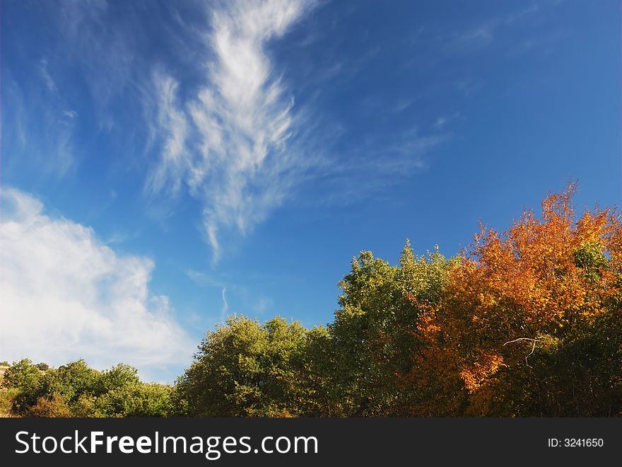 Colorful autumn trees and beautiful cloudscape in late afternoon. Colorful autumn trees and beautiful cloudscape in late afternoon