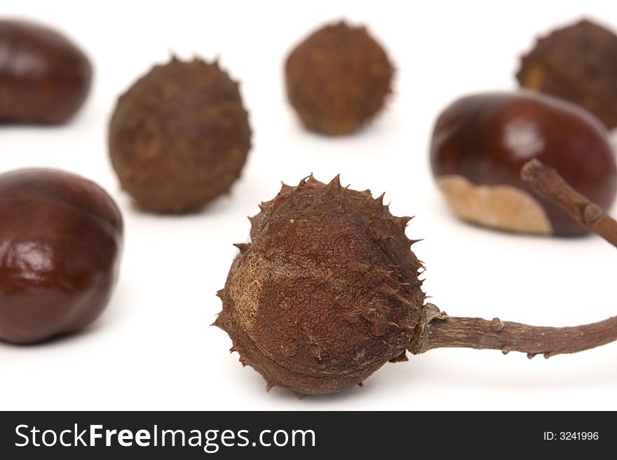 Chestnuts isolated on a white background