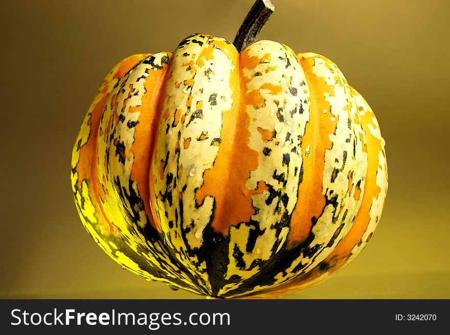 Photo of fall pumpkin with spots