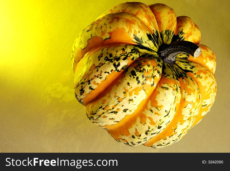 Photo of fall pumpkin with spots