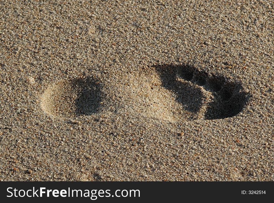 An isolated footprint in the sand, together to the sea...