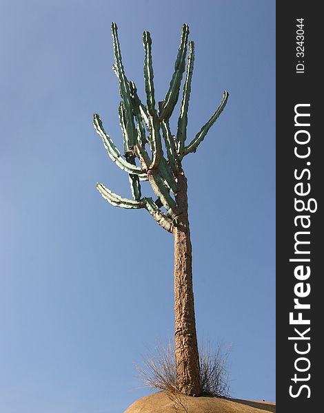 Tall cactus on lone dune against blue sky