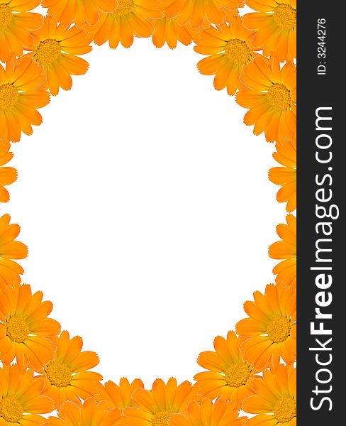 Floral background frame from orange flowers and white copyspace