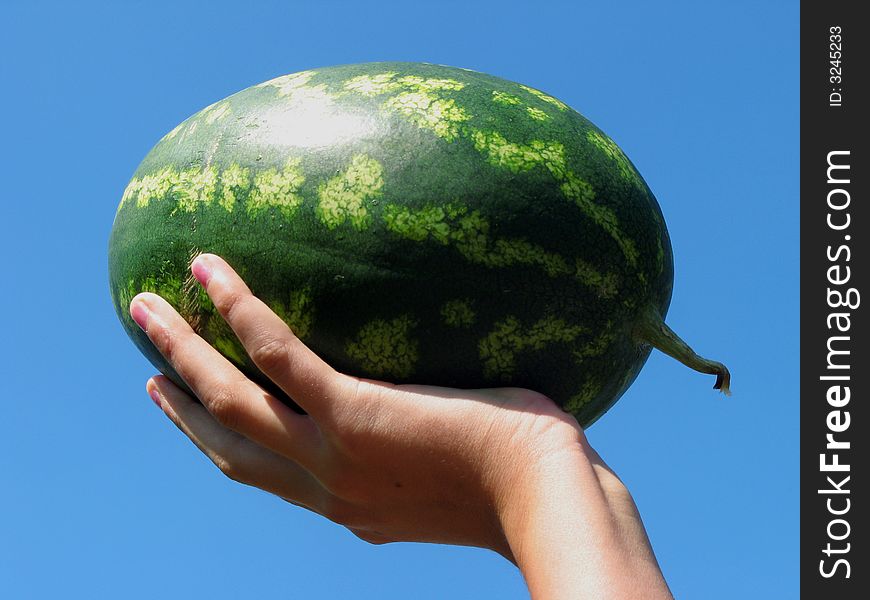 In nature is everything, small or large, is beautifull, this little watermelon too.