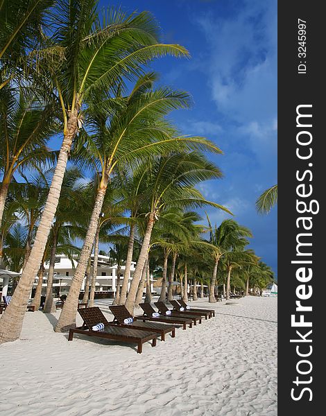 Row of wooden beach chairs laid out on a peaceful beach