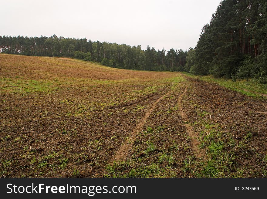 Rural landscape view with tracks. Rural landscape view with tracks