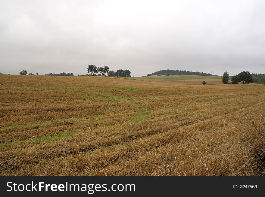 Farm Landscape View