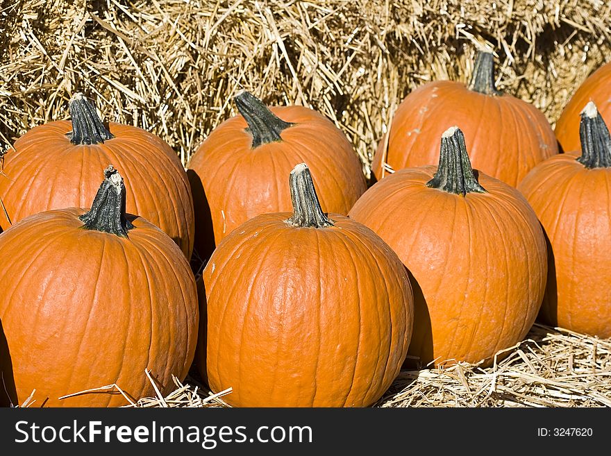 Well pumpkins on display means it's getting close to autumn, got to love the fall colors!  A pile of pumpkins infront of a hay stack. Well pumpkins on display means it's getting close to autumn, got to love the fall colors!  A pile of pumpkins infront of a hay stack