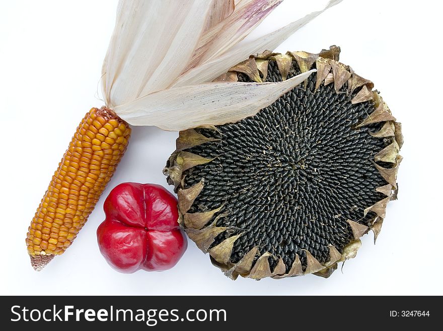 Bellpepper acorn and sunflower on white background. Bellpepper acorn and sunflower on white background