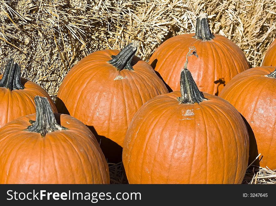 Well pumpkins on display means it's getting close to autumn, got to love the fall colors!  A pile of pumpkins infront of a hay stack. Well pumpkins on display means it's getting close to autumn, got to love the fall colors!  A pile of pumpkins infront of a hay stack