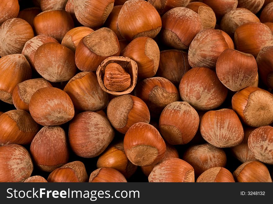 Hazelnuts in shell texture background
