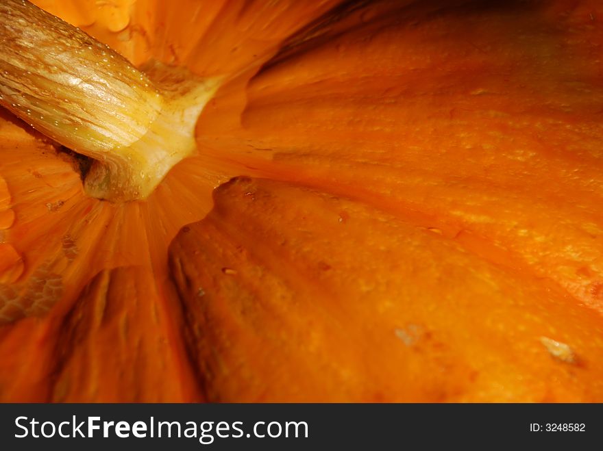 Close-up of orange Halloween pumpkin with brown stalk.
