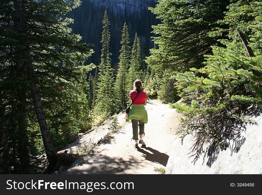 Trekker reaching the tea house