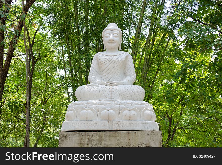 White Buddha statue in bamboo garden