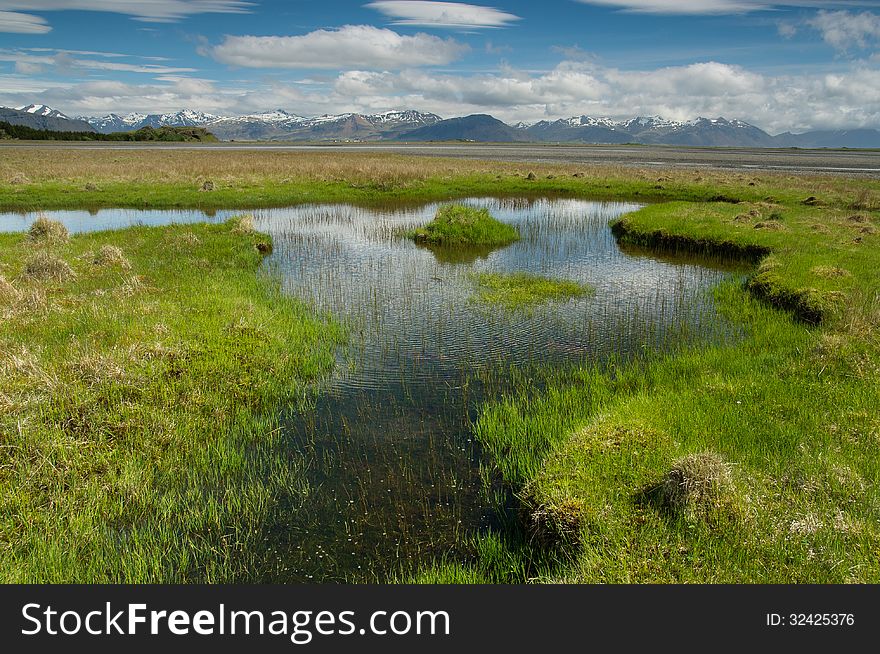 Summer in Iceland