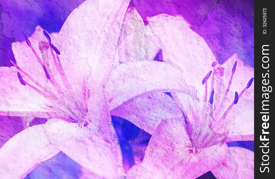 Pink lily - stylized floral picture with texture