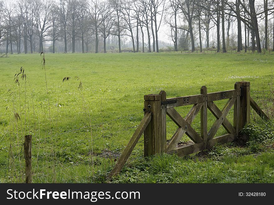 View at a green meadow with a handmade wooden fence