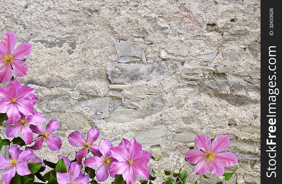 Old stony wall and pink flowers - background. Old stony wall and pink flowers - background