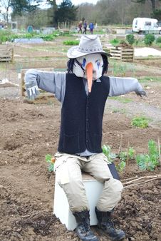 Scarecrow Stock Photo Scarecrow Stock Photo