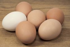 Brown And White Eggs On Grained Wood Royalty Free Stock Image Brown And White Eggs On Grained Wood Royalty Free Stock Image