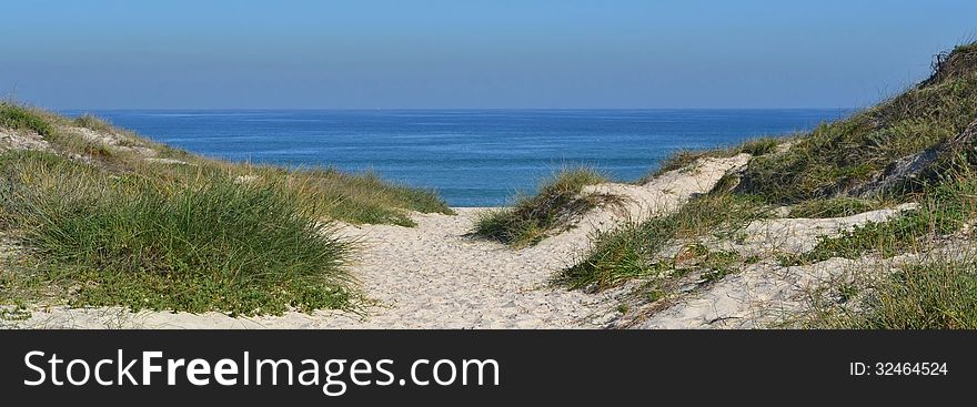 Landscape with dune grass on an atlantic ocean beach. Landscape with dune grass on an atlantic ocean beach