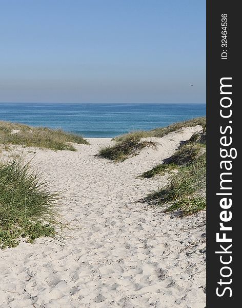 Landscape with dune grass on an atlantic ocean beach. Landscape with dune grass on an atlantic ocean beach