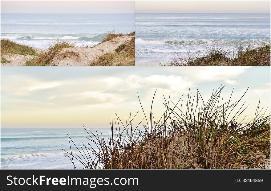 Landscape collage with dune grass on an atlantic ocean beach