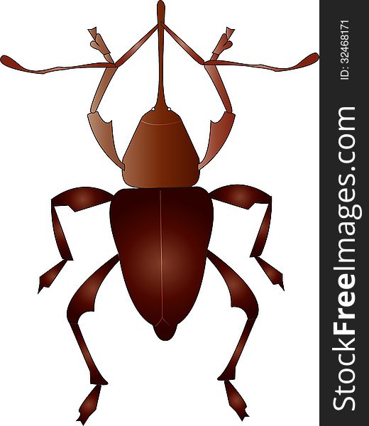 Brown schematic beetle on a white background. Brown schematic beetle on a white background