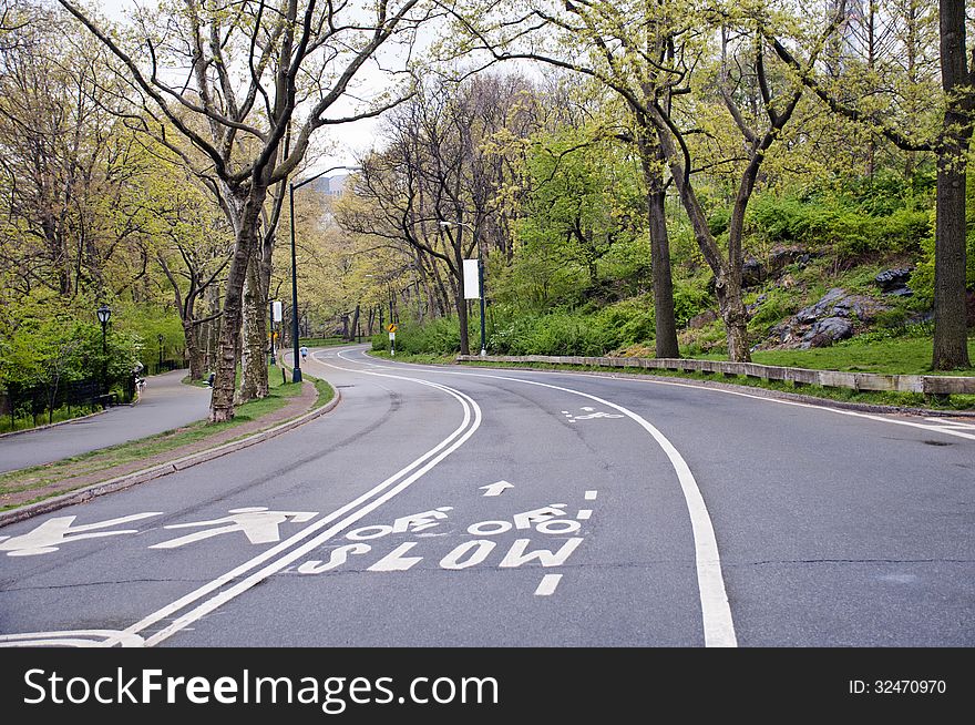 Street in Central park, New York City.