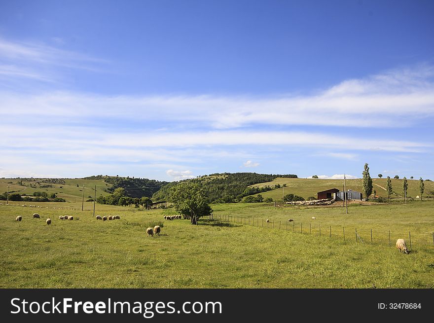 Mountain farm with sheeps