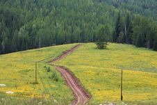 Dirt Road Through Natural Landscape Stock Image Dirt Road Through Natural Landscape Stock Image