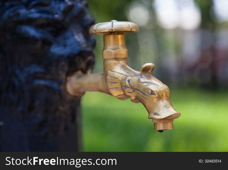 Outdoor Faucet In The Park