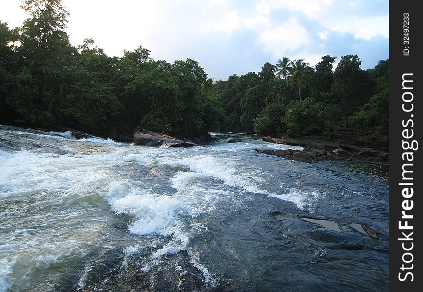 Forest & river in western ghats&x28;karkala, udupi&x29; of india