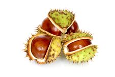 Chestnuts Close Up Isolated Stock Photography Chestnuts Close Up Isolated Stock Photography