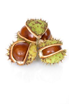 Chestnuts Close Up Isolated Stock Photos Chestnuts Close Up Isolated Stock Photos