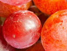 Red Grape Close Up Stock Photo Red Grape Close Up Stock Photo