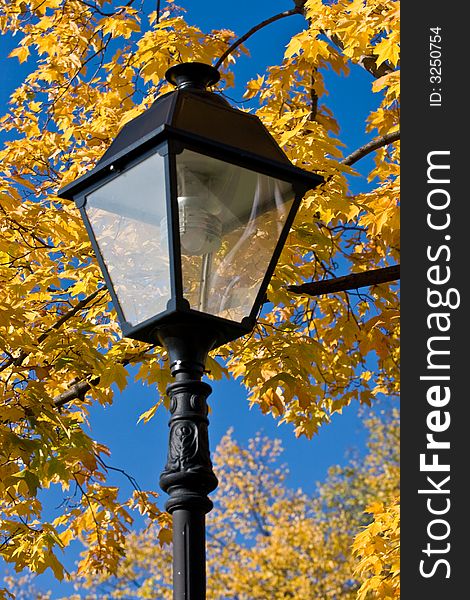 Lantern on a background of yellow autumn foliage. Lantern on a background of yellow autumn foliage