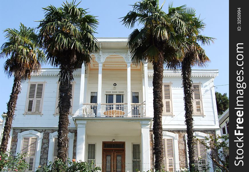 Traditional turkrish house with palm tree in istanbul