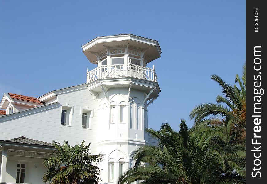 House with palm tree in istanbul in Turkey.