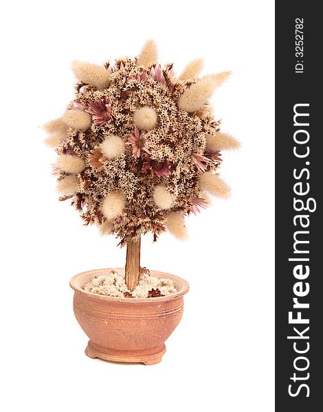 Model of tree with dried flowers