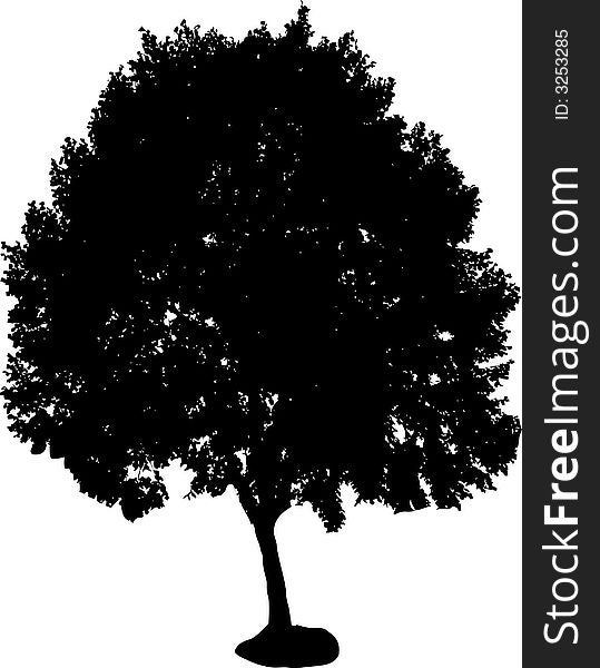 Silhouette of isolated tree. Vector ollustration. Silhouette of isolated tree. Vector ollustration