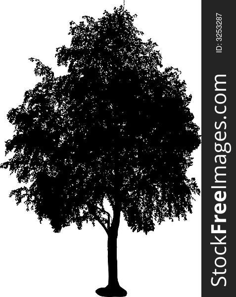 Silhouette of isolated tree. Vector ollustration. Silhouette of isolated tree. Vector ollustration