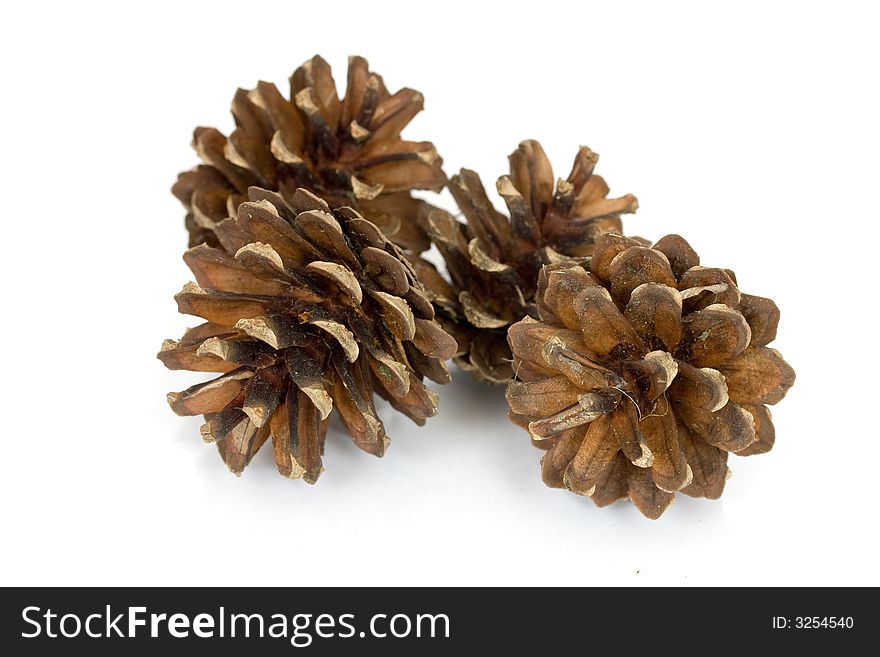 Pine Cones Isolated Over White