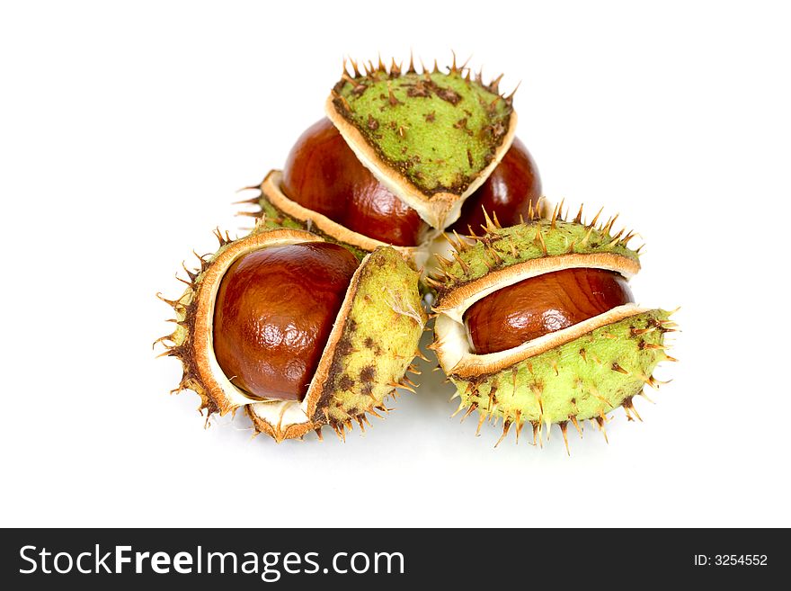 Chestnuts close up isolated with reflection